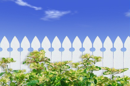 White Picket Fence