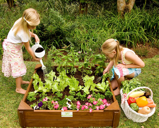 Just-for-Kids Veggie-Garden-Box gardening