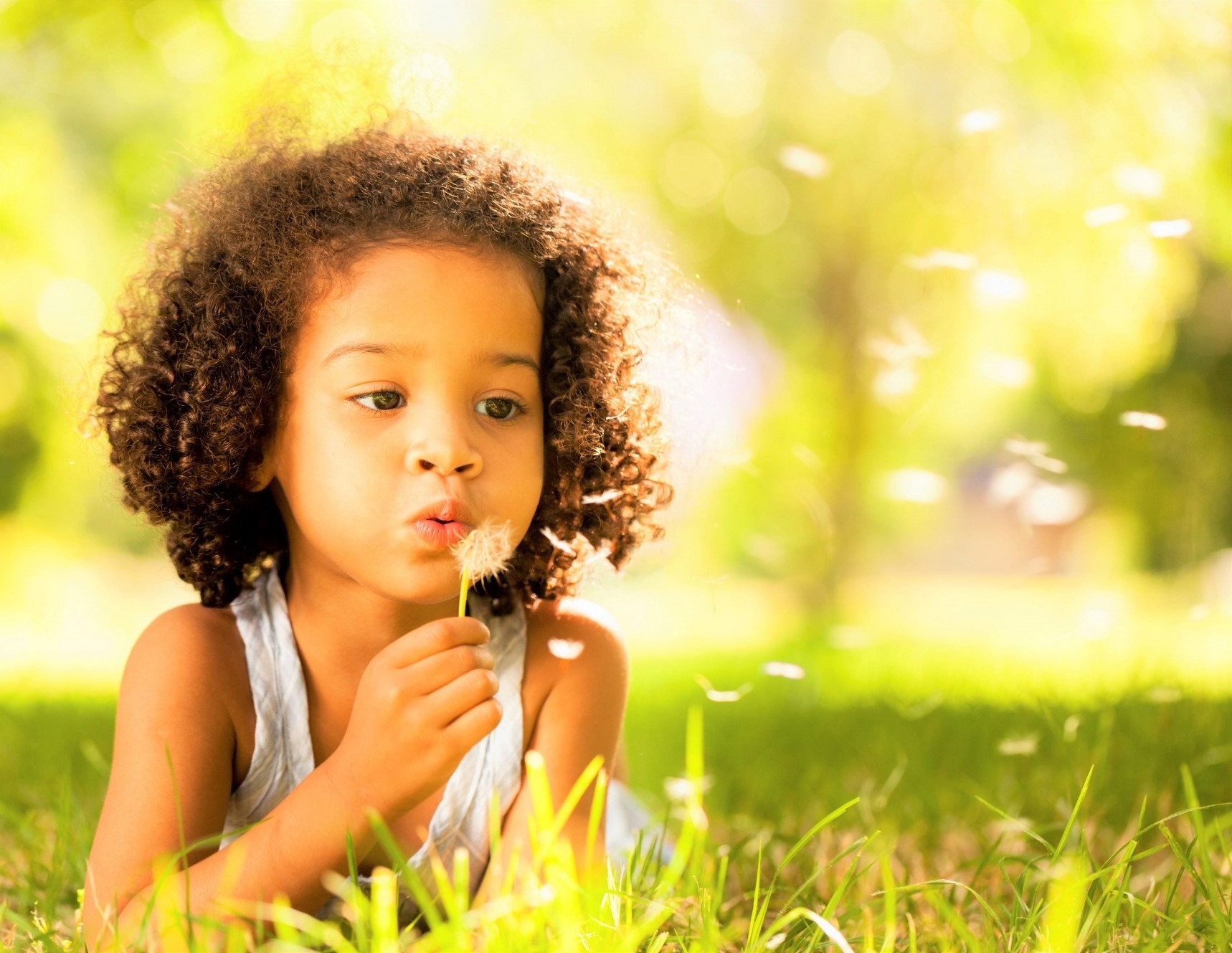 Illinois Head Start Association Developing a Data Dashboard to