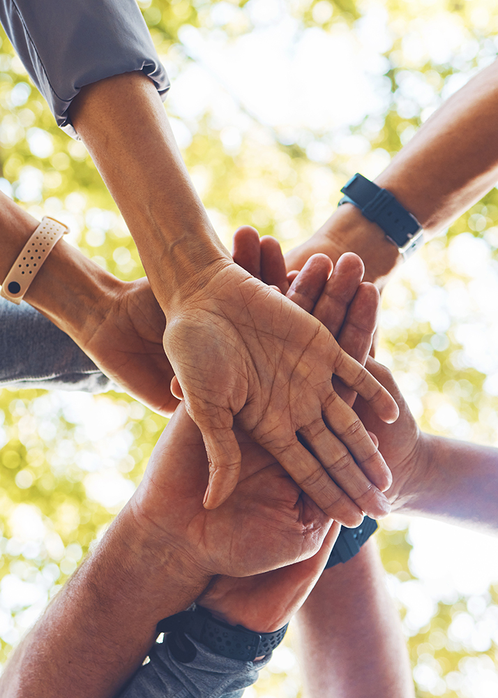 Hands, together and support with solidarity outdoor and group, diversity and team building in nature. Trust, respect and mission with community and hand stack low angle, collaboration and motivation. 